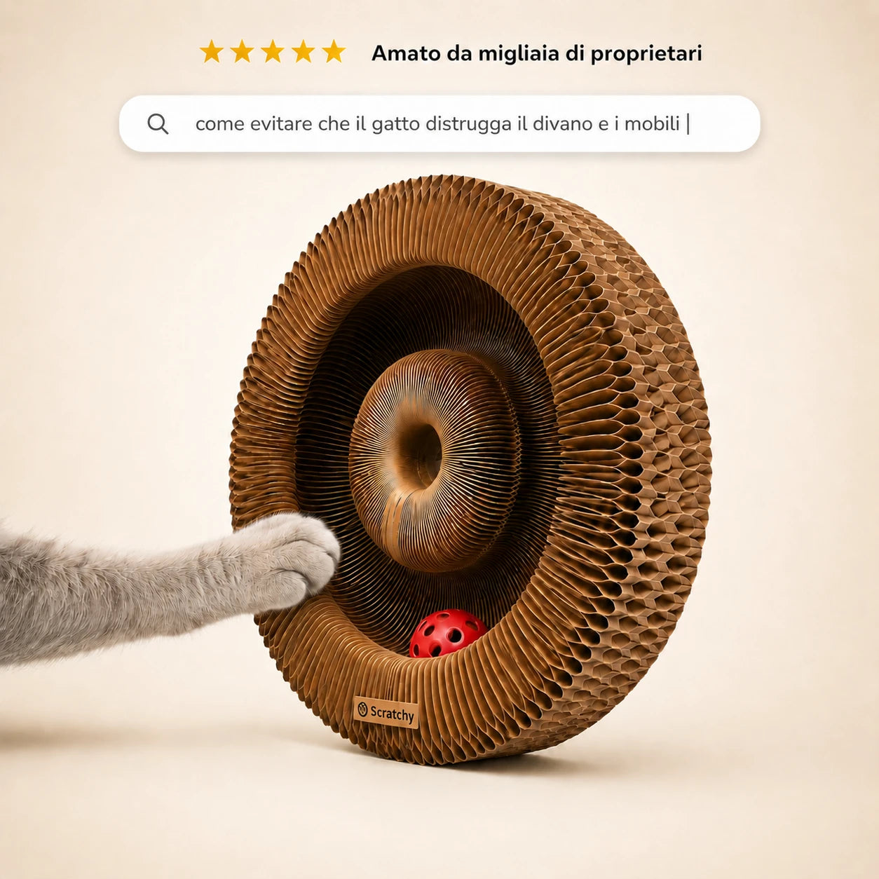 SCRATCHY — perché il gatto distrugge i mobili