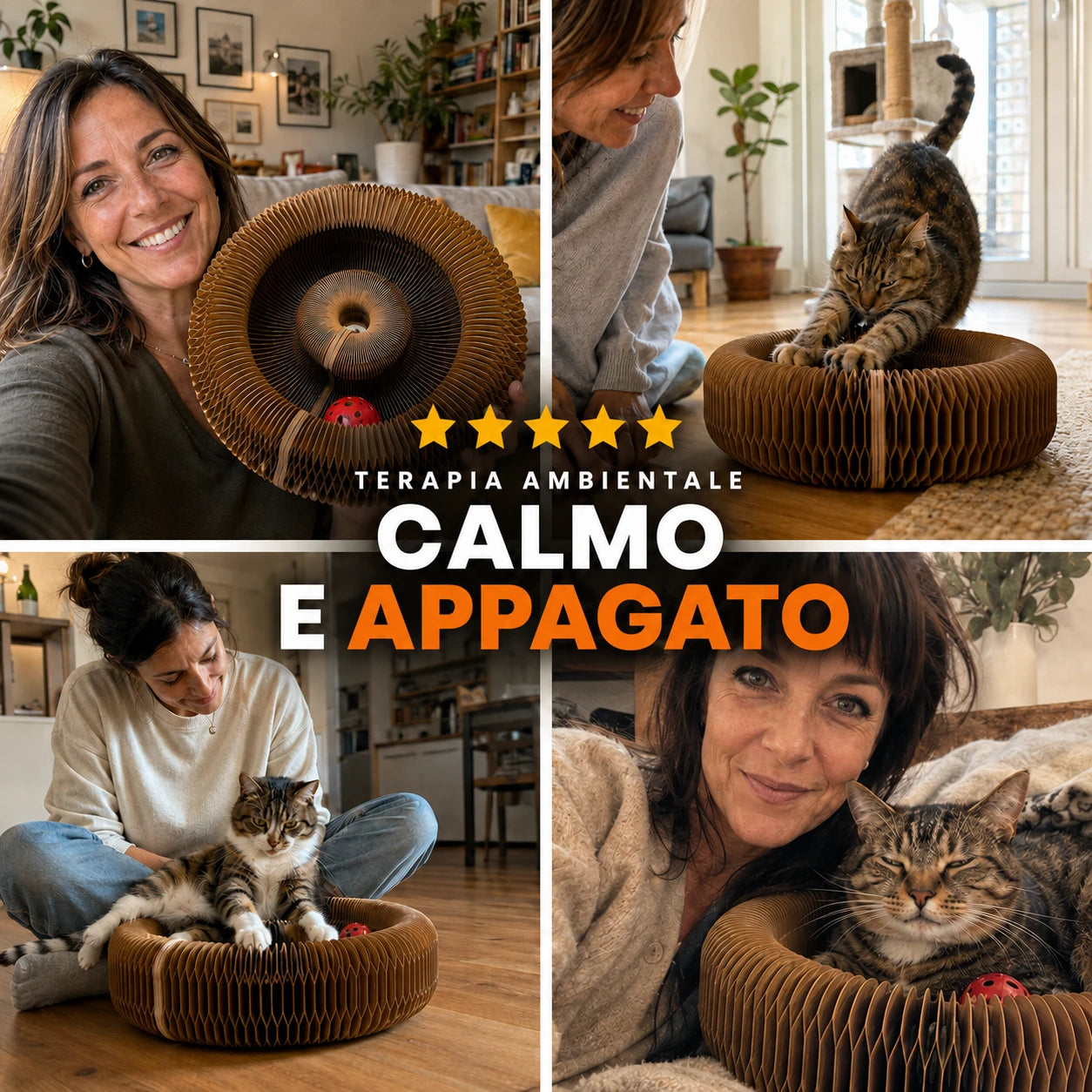 SCRATCHY — gatti calmi e appagati