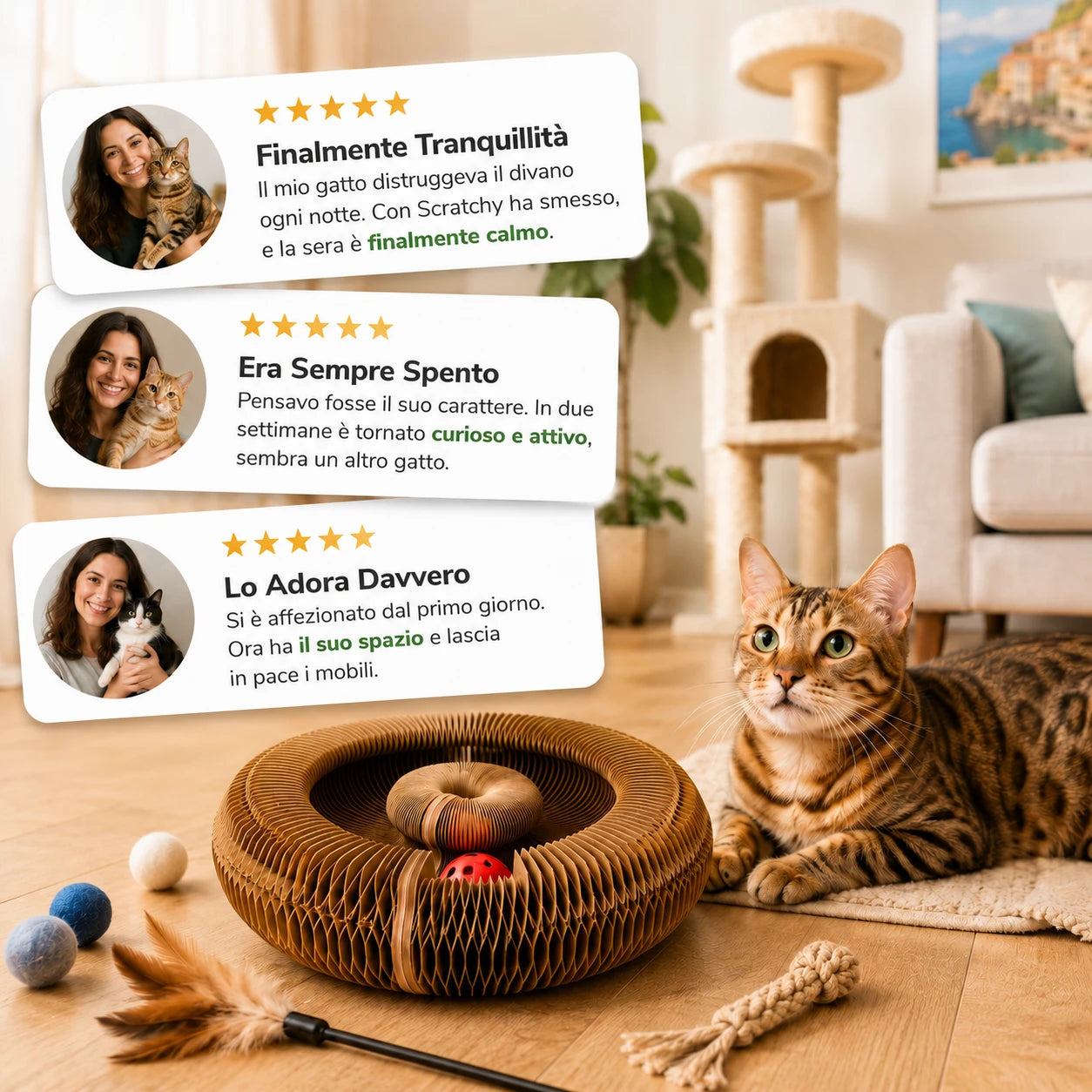 SCRATCHY — recensioni dei proprietari