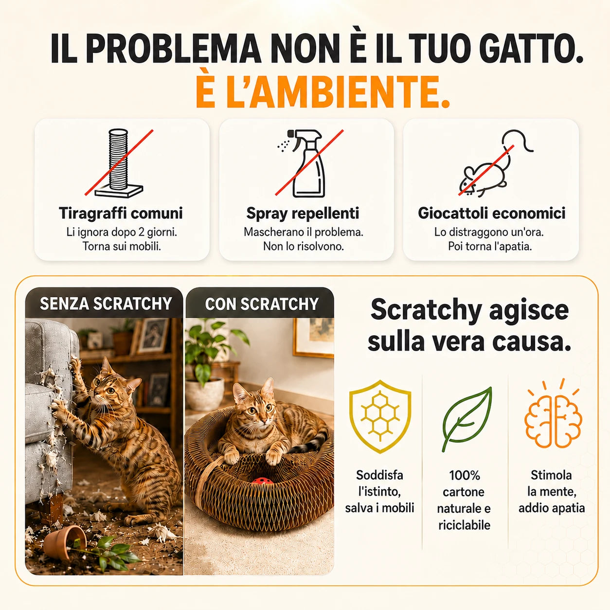 SCRATCHY — il problema non è il tuo gatto, è l'ambiente