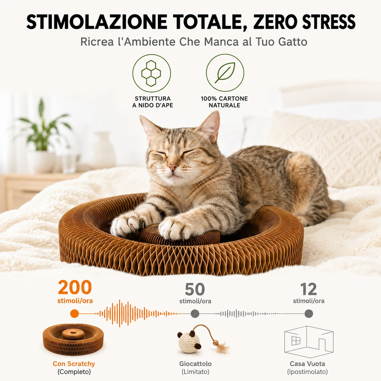 SCRATCHY — stimolazione totale, zero stress